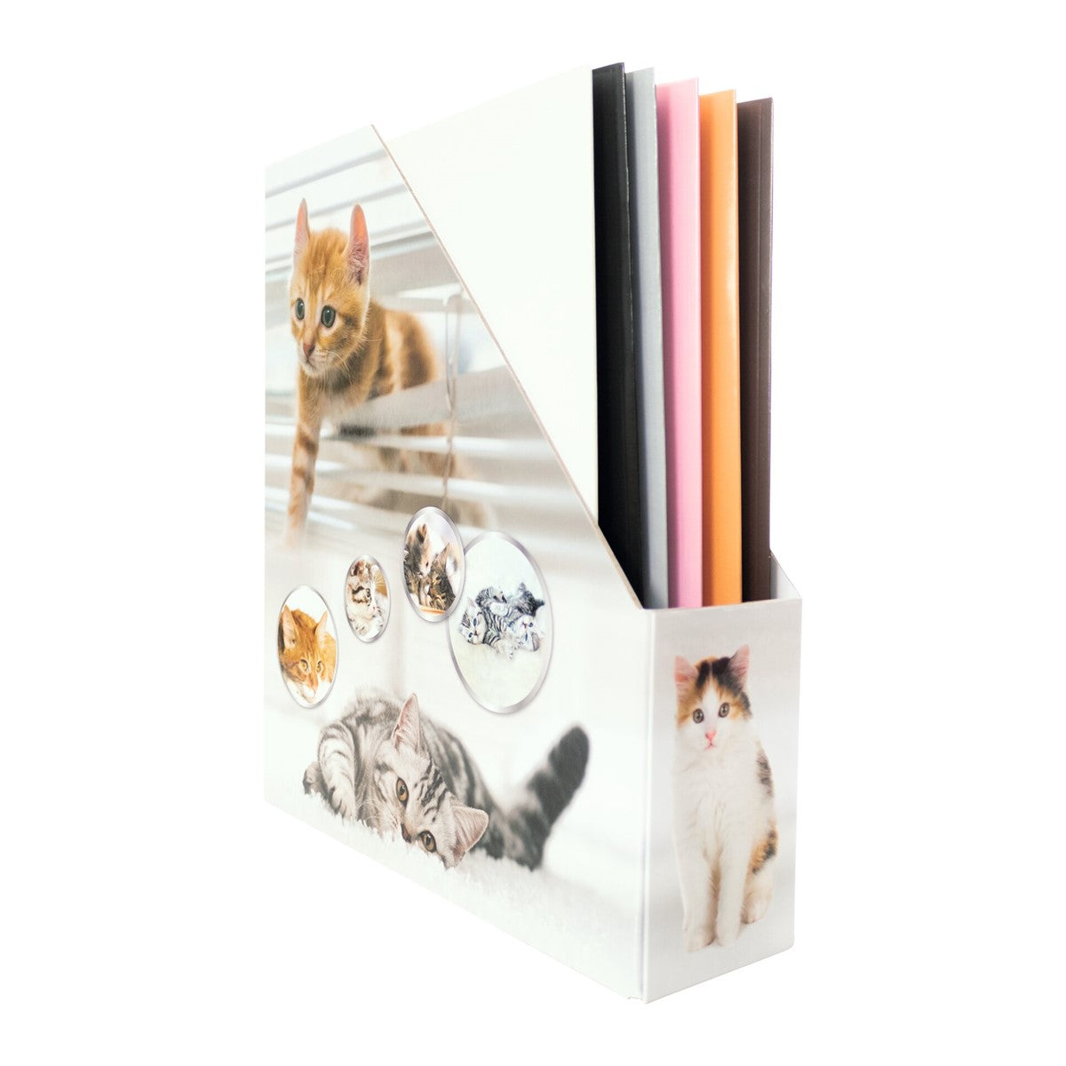 stehsammler-katze-herma-0