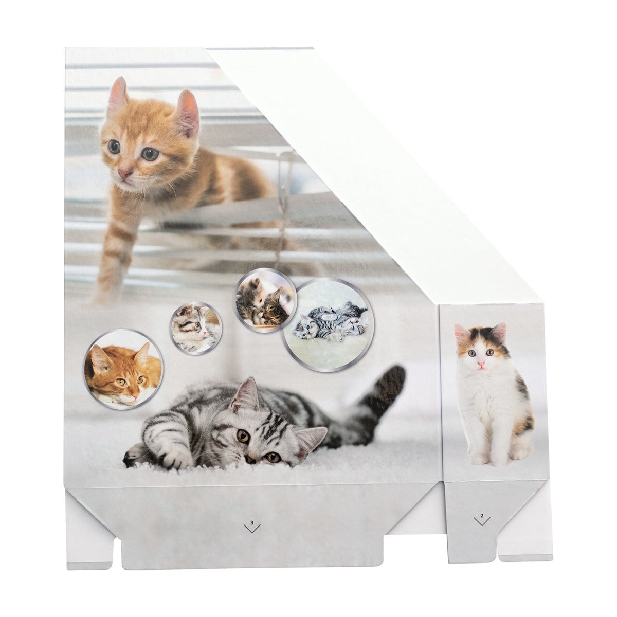 stehsammler-katze-herma-1