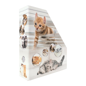 stehsammler-katze-herma-2