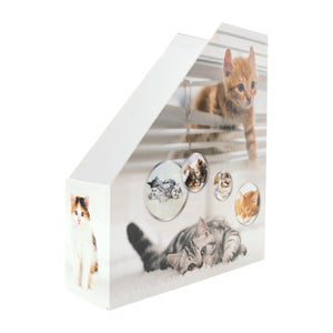 stehsammler-katze-herma