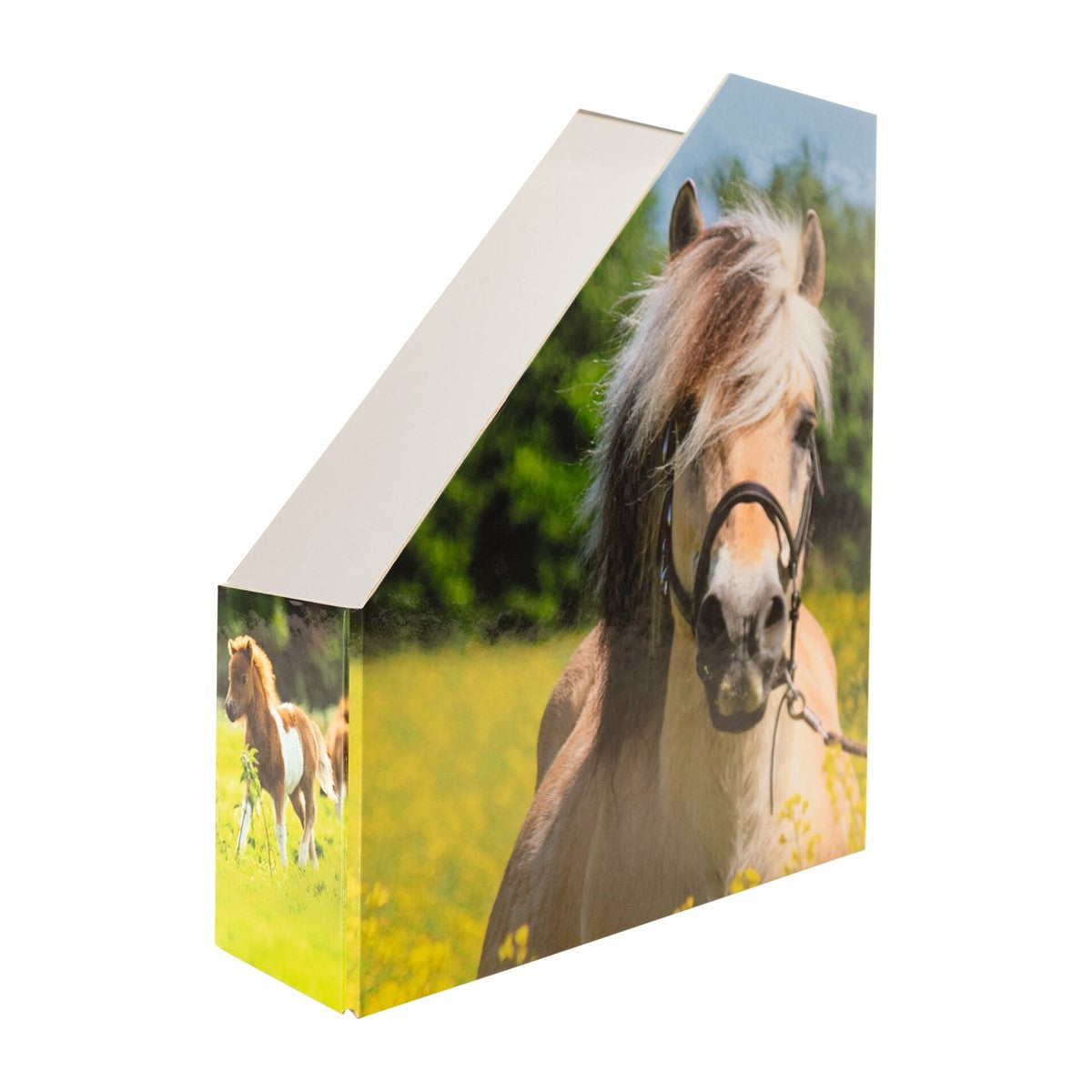 stehsammler-pferd-herma
