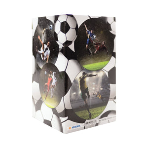 stiftekoecher-football-herma-1